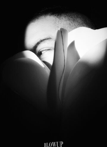 petals of thoughts