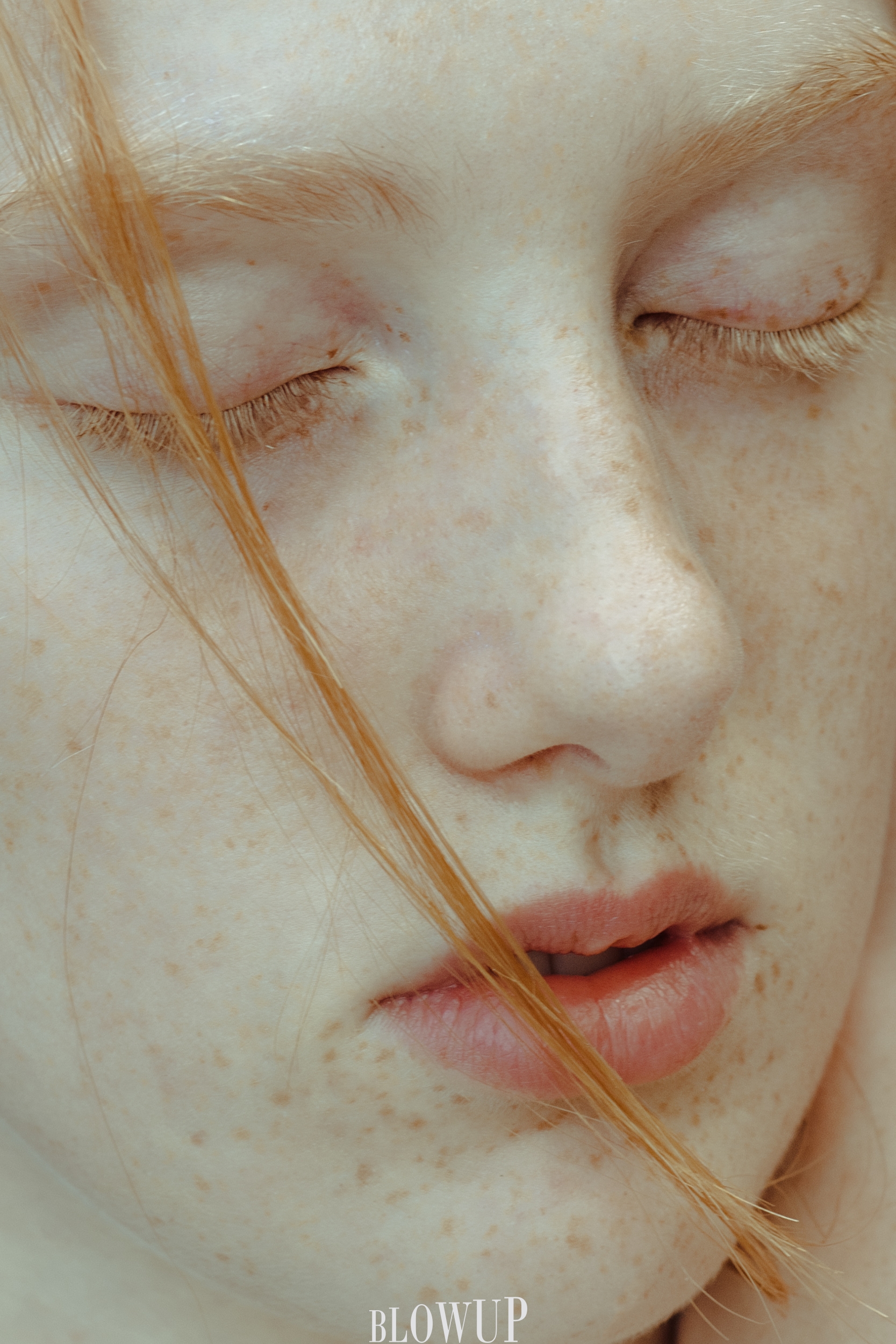 Adele