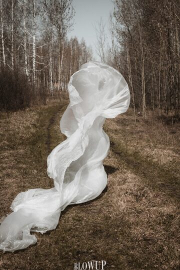 Wind
