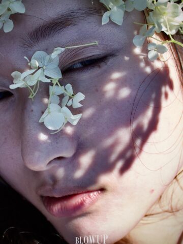 Shadow