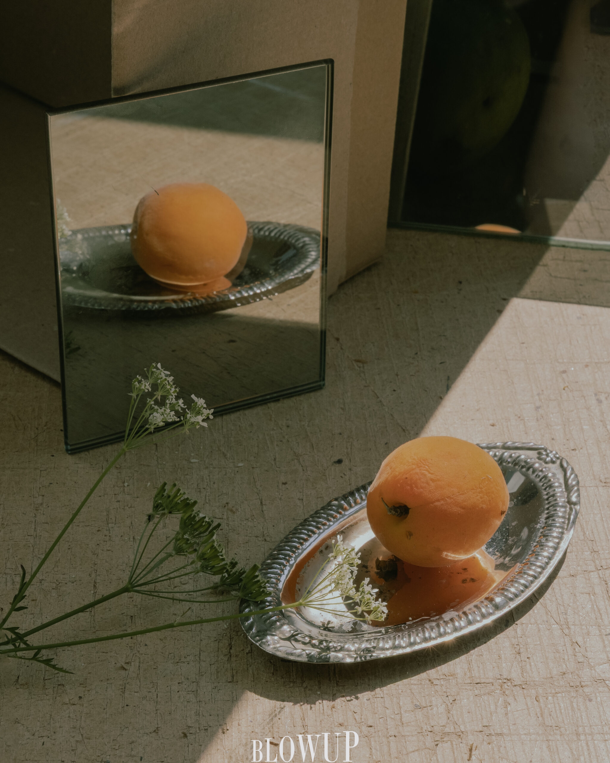 Apricot