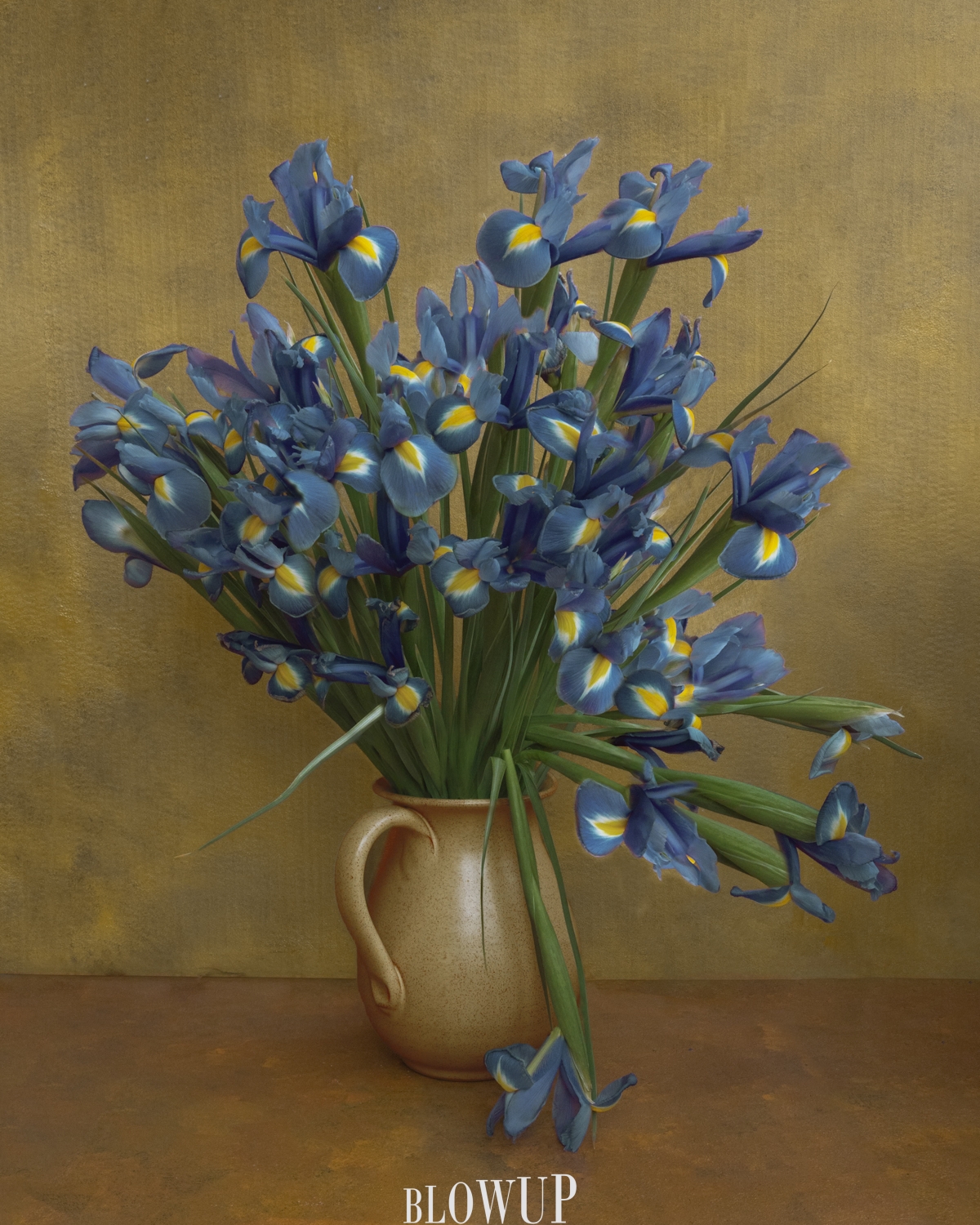 Irises