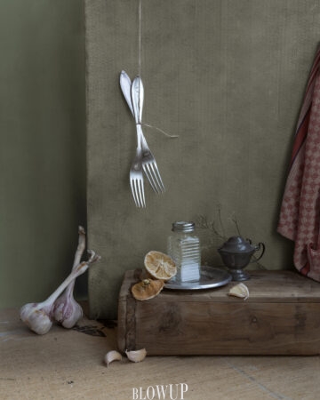 Still Life with Garlic and Lemon