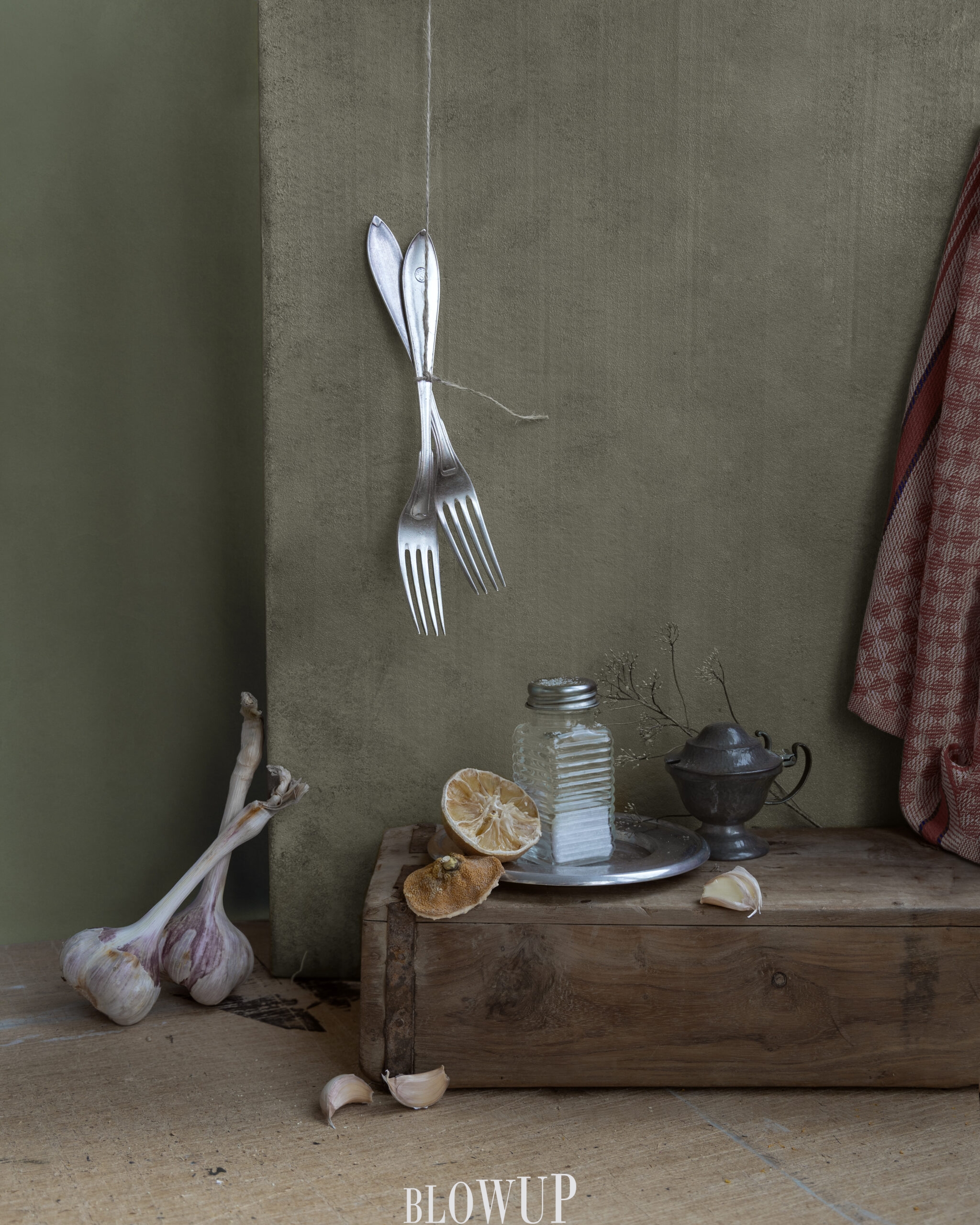 Still Life with Garlic and Lemon