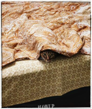 Hide and seek