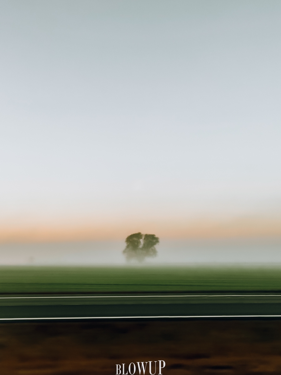 “Silent Watcher”