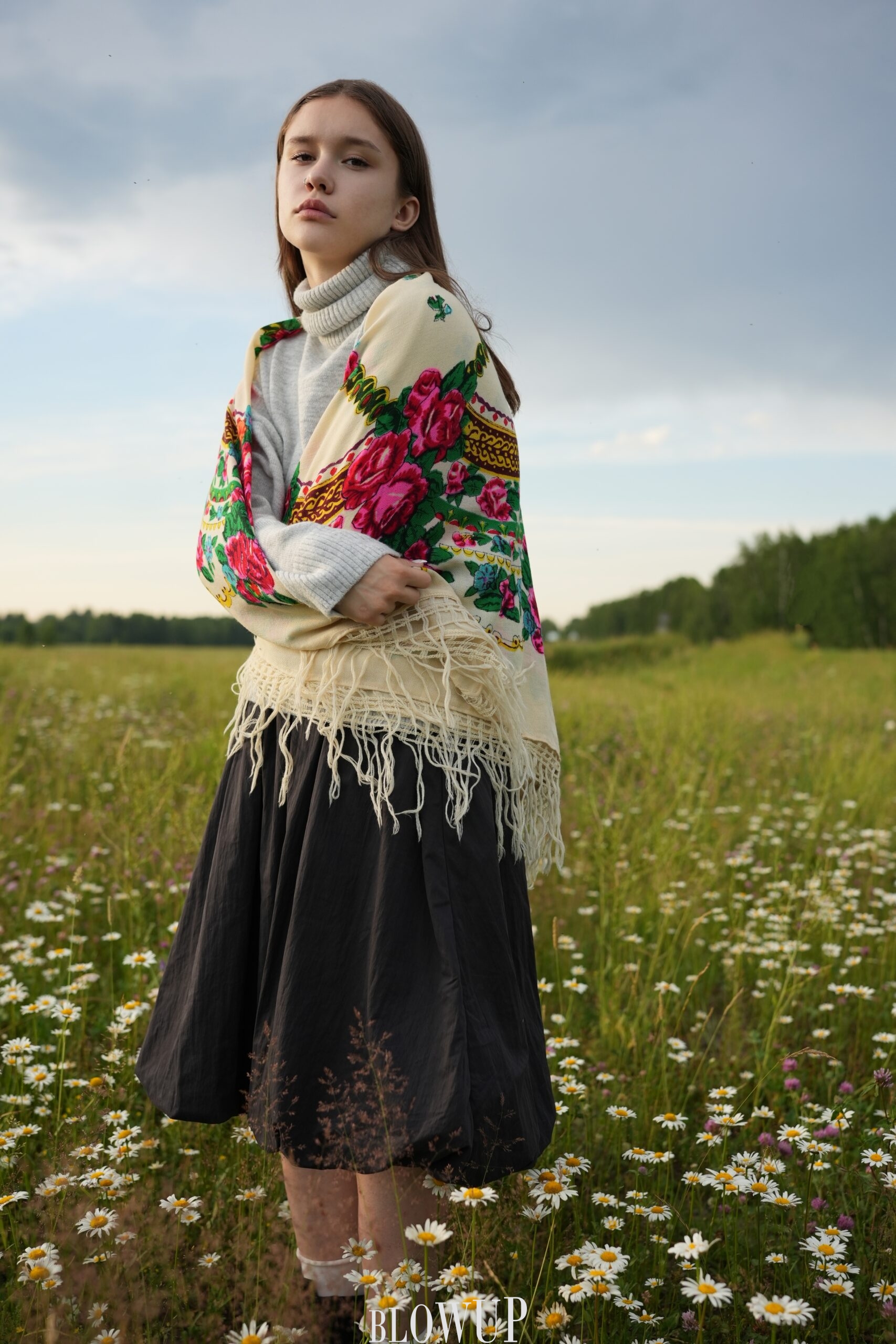 Ромашки