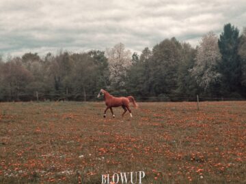 ​Faster than the wind