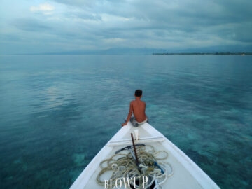 In the silence of the sea