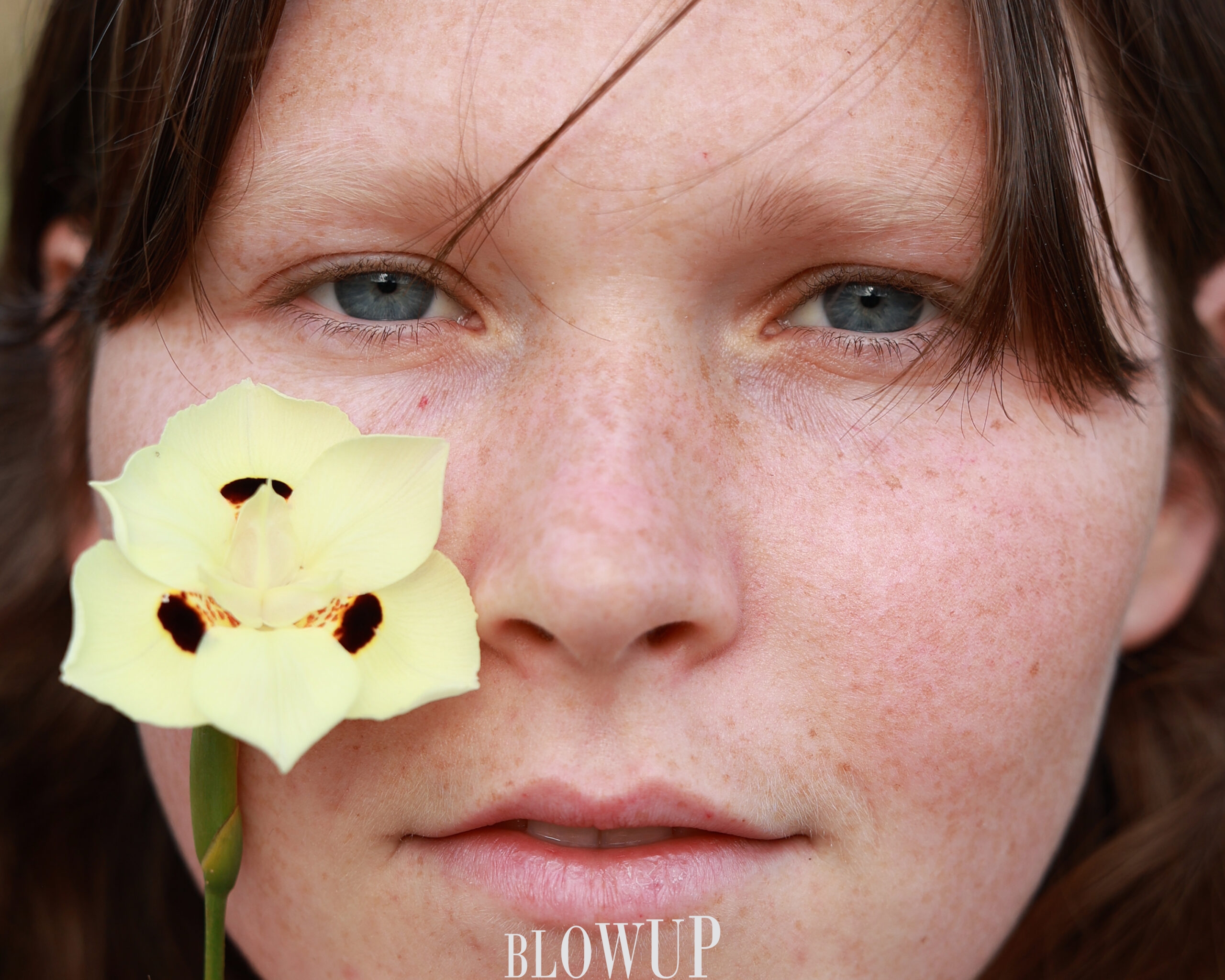Liel and flower