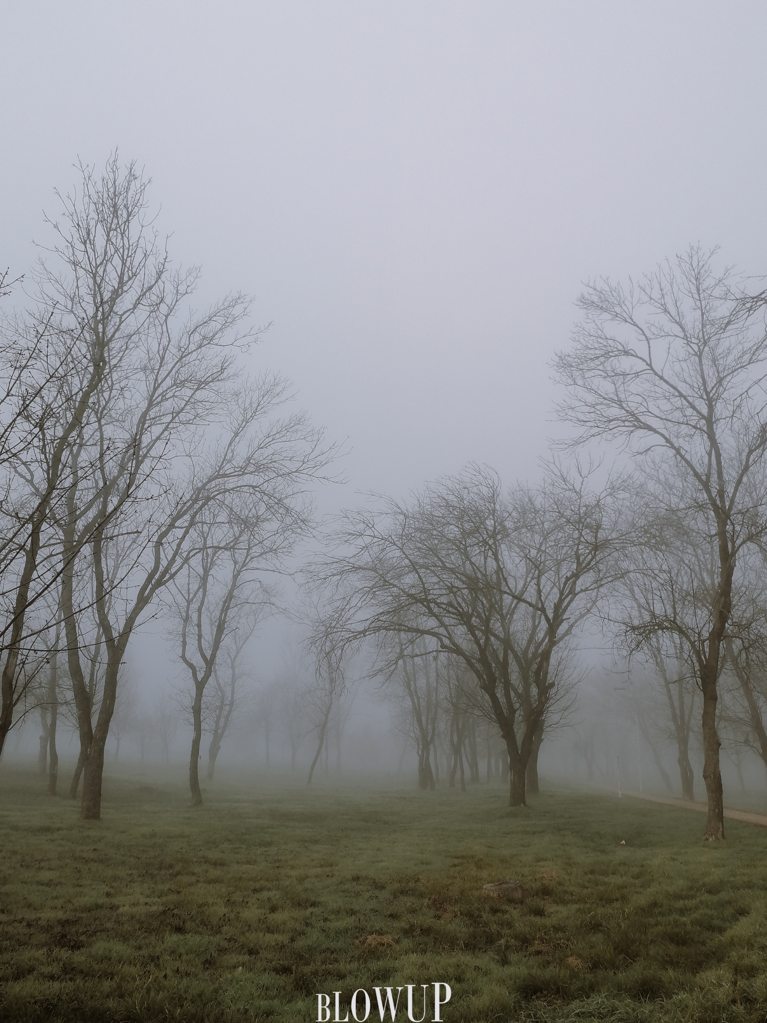 Morning fog