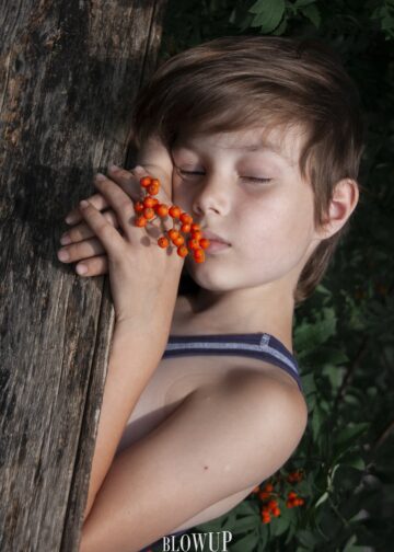 with mountain ash