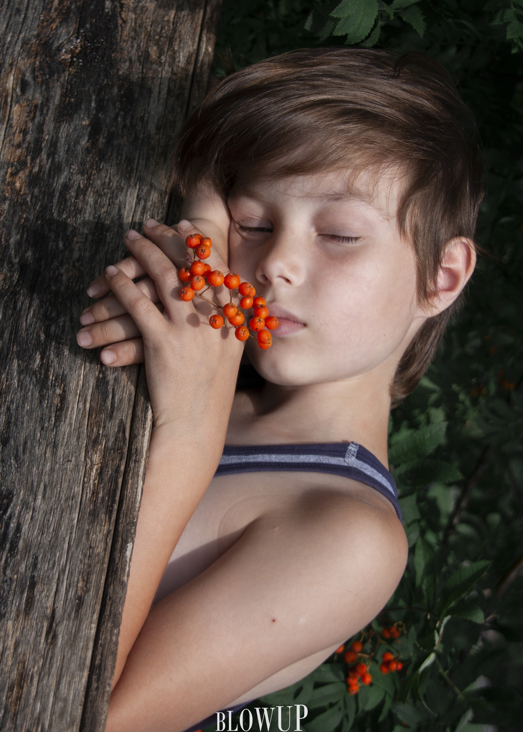 with mountain ash