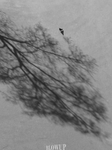 Shadows