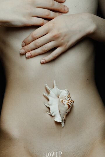 Shell
