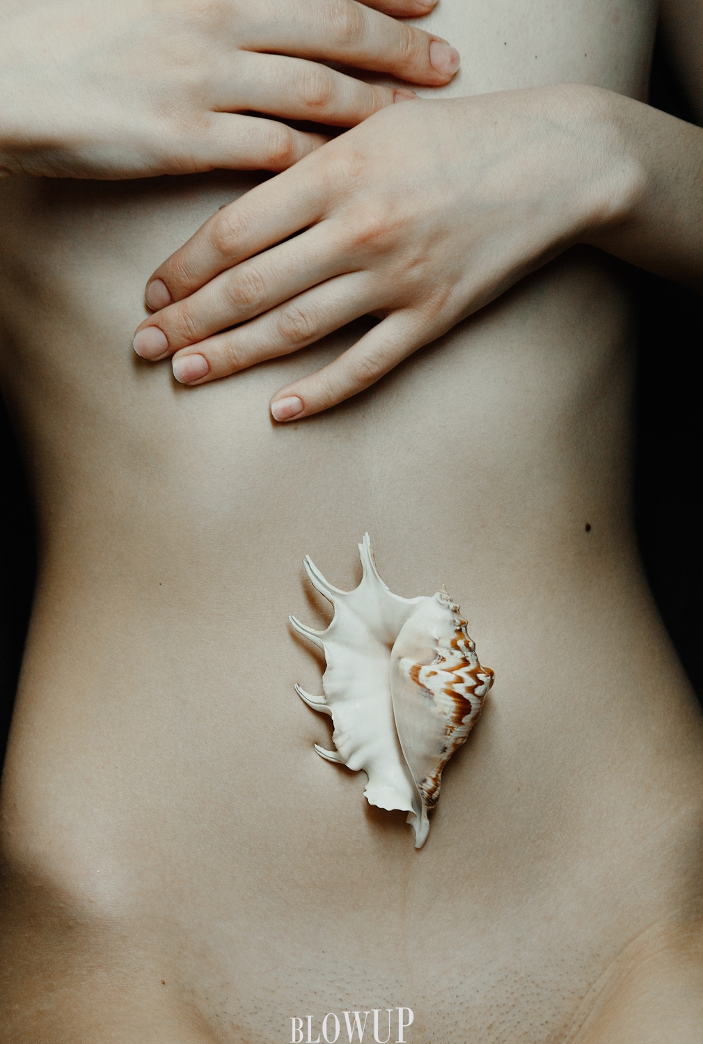 Shell