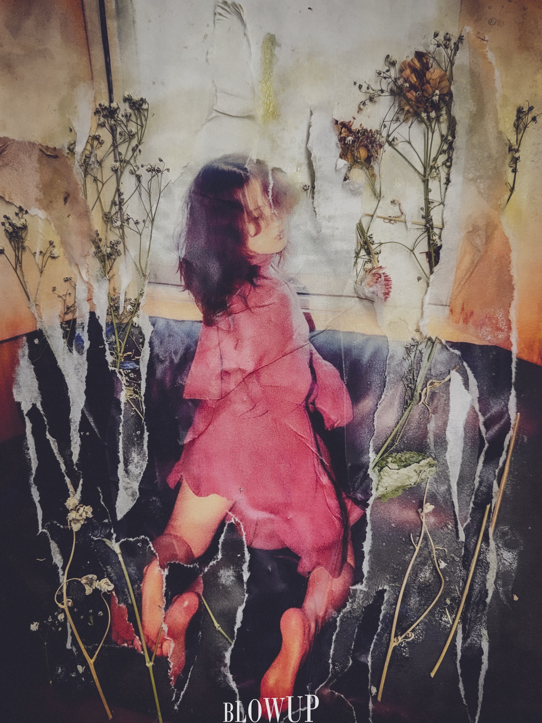 好きな服を着て生きる