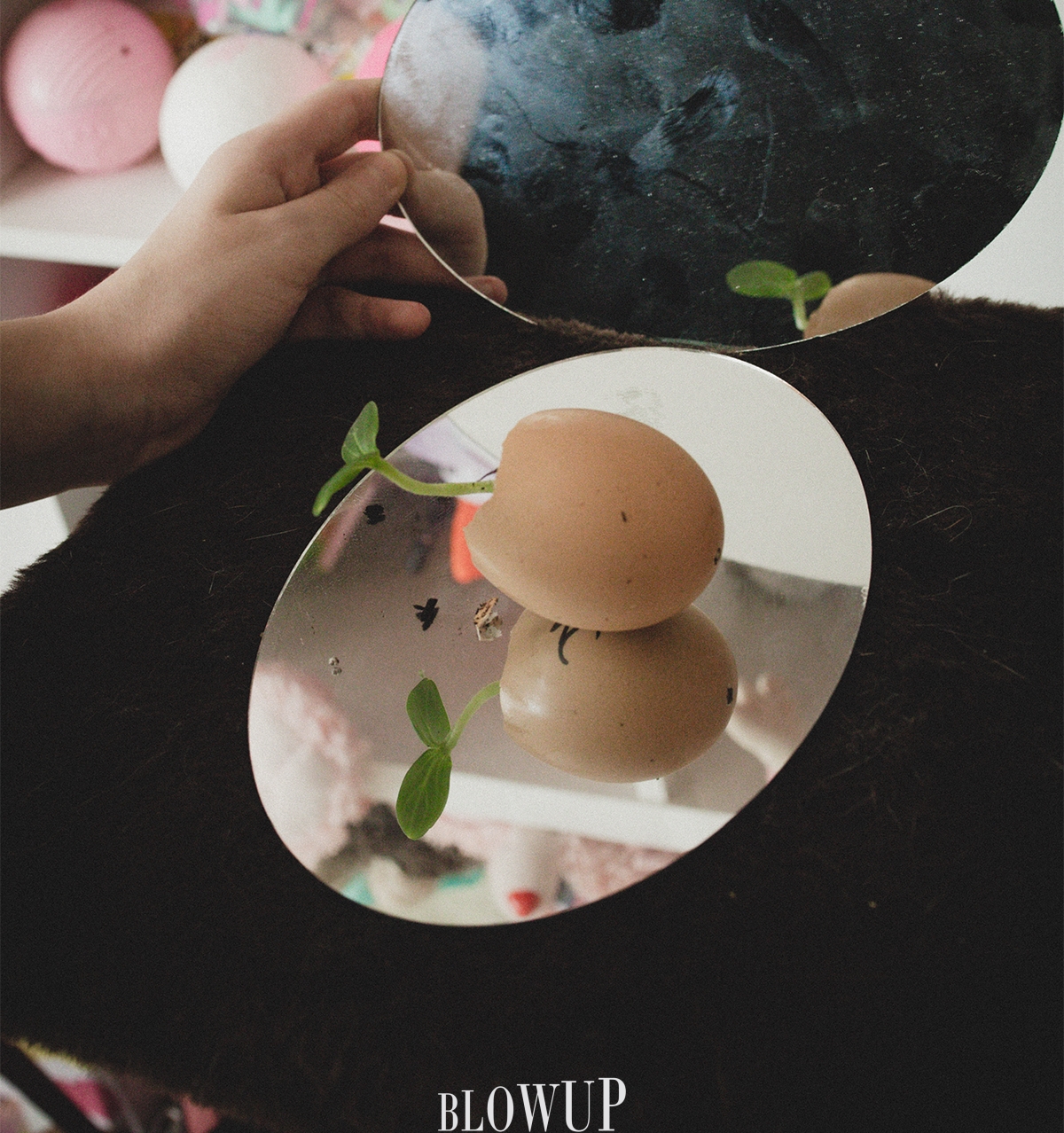 egg