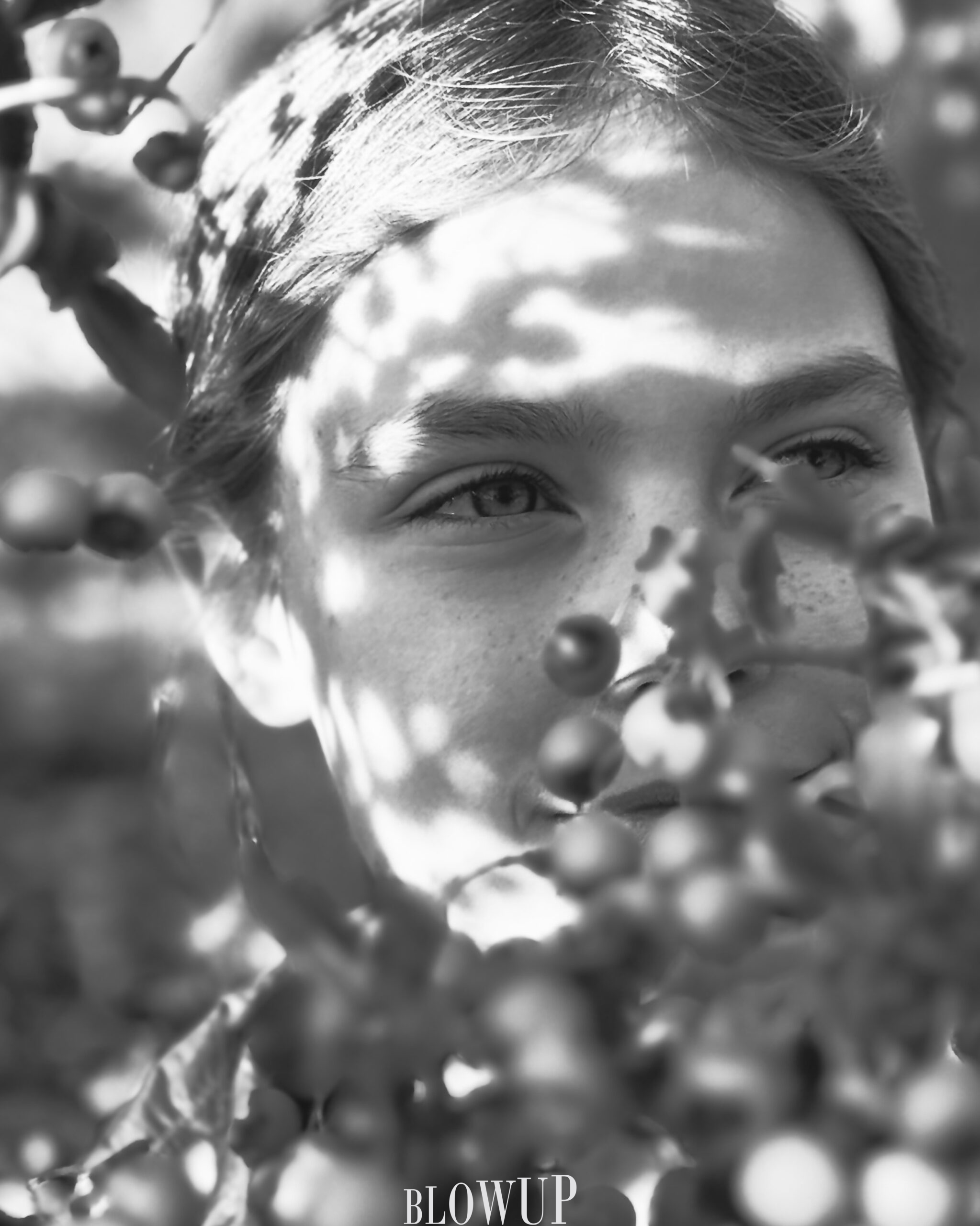 Lei