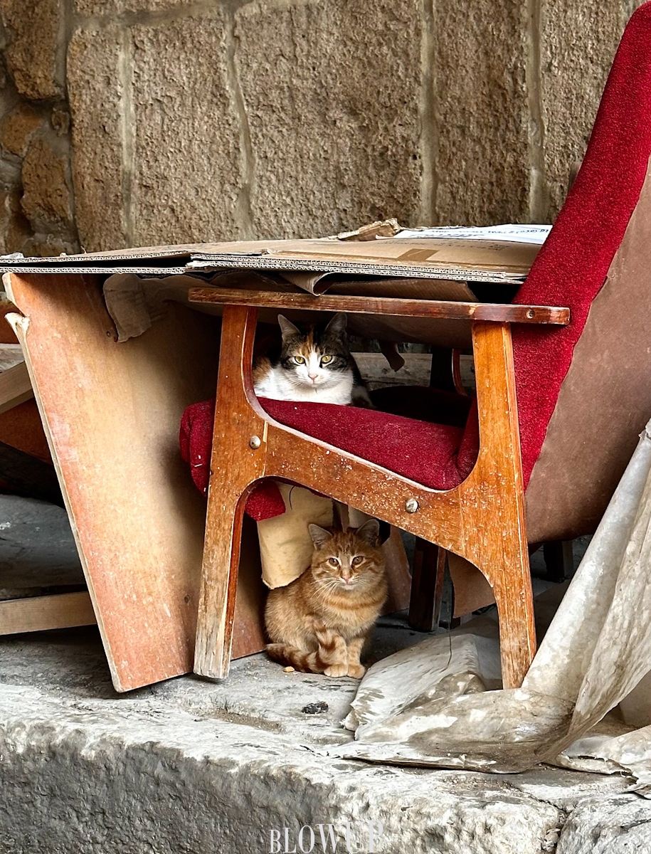 Poor beggars
