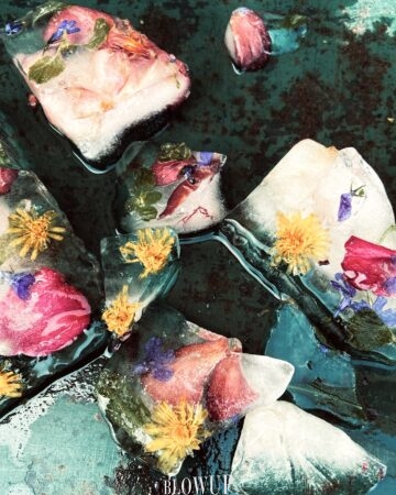 Pieces of ice