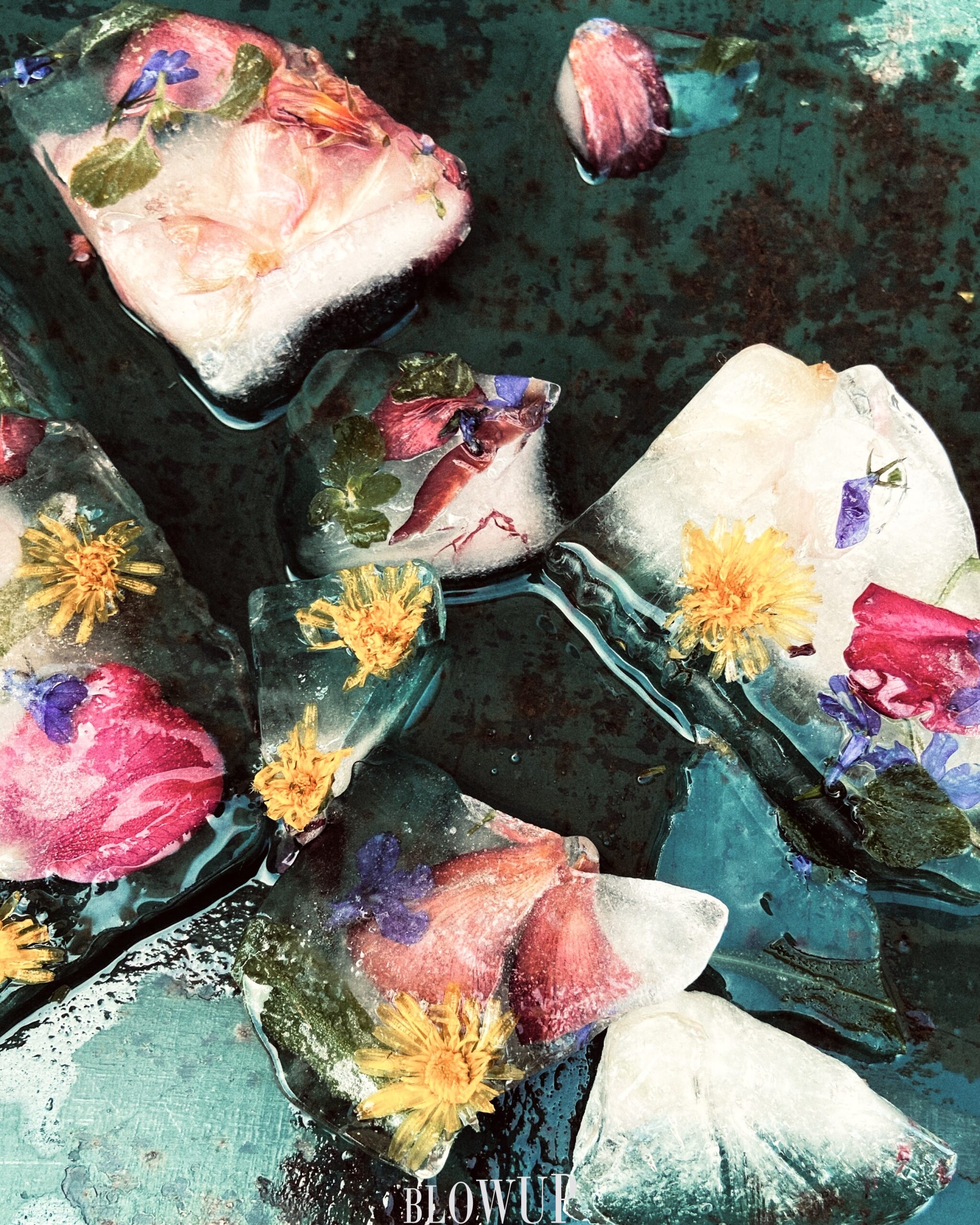 Pieces of ice