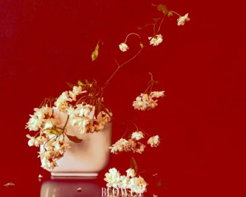 White on red