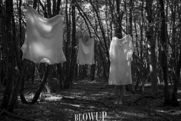 Il fantasma del bosco