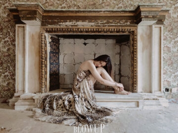 L’araba fenice