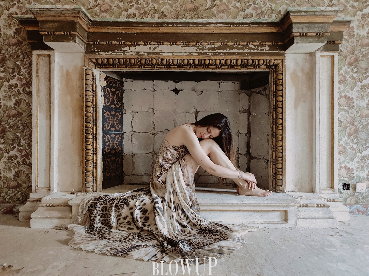 L’araba fenice