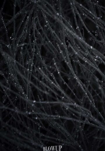 ” После дождика “