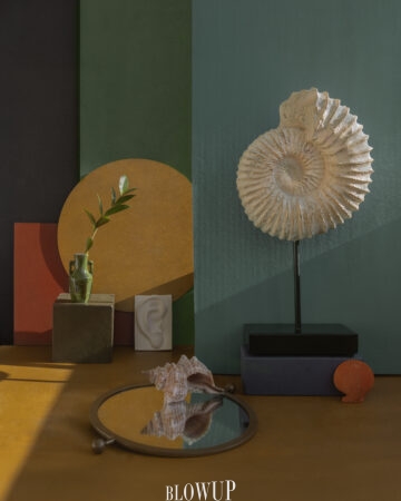 Seashell