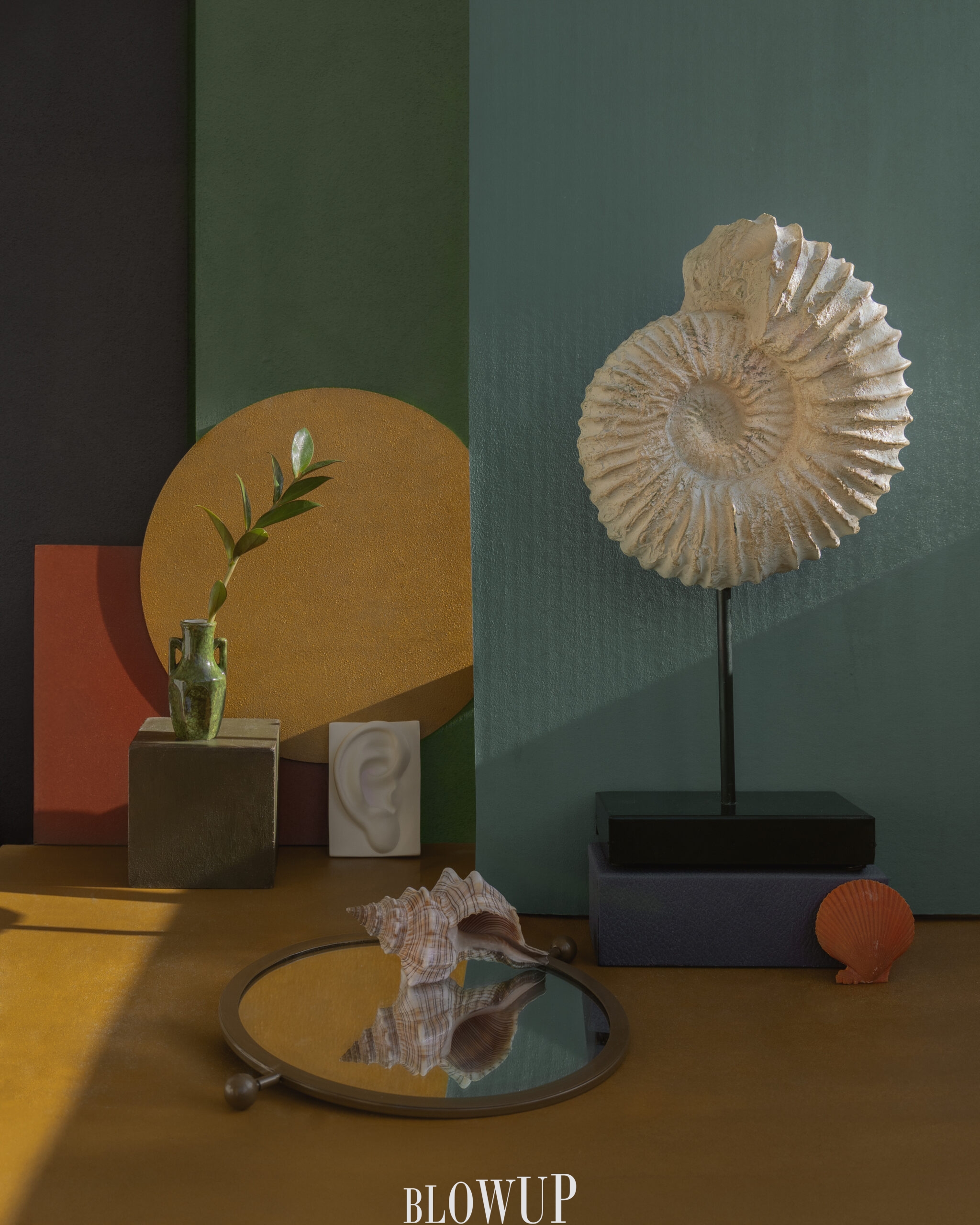 Seashell