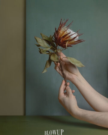 A flower in his hands