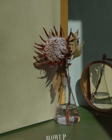 Dried flower