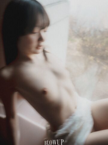 蕾