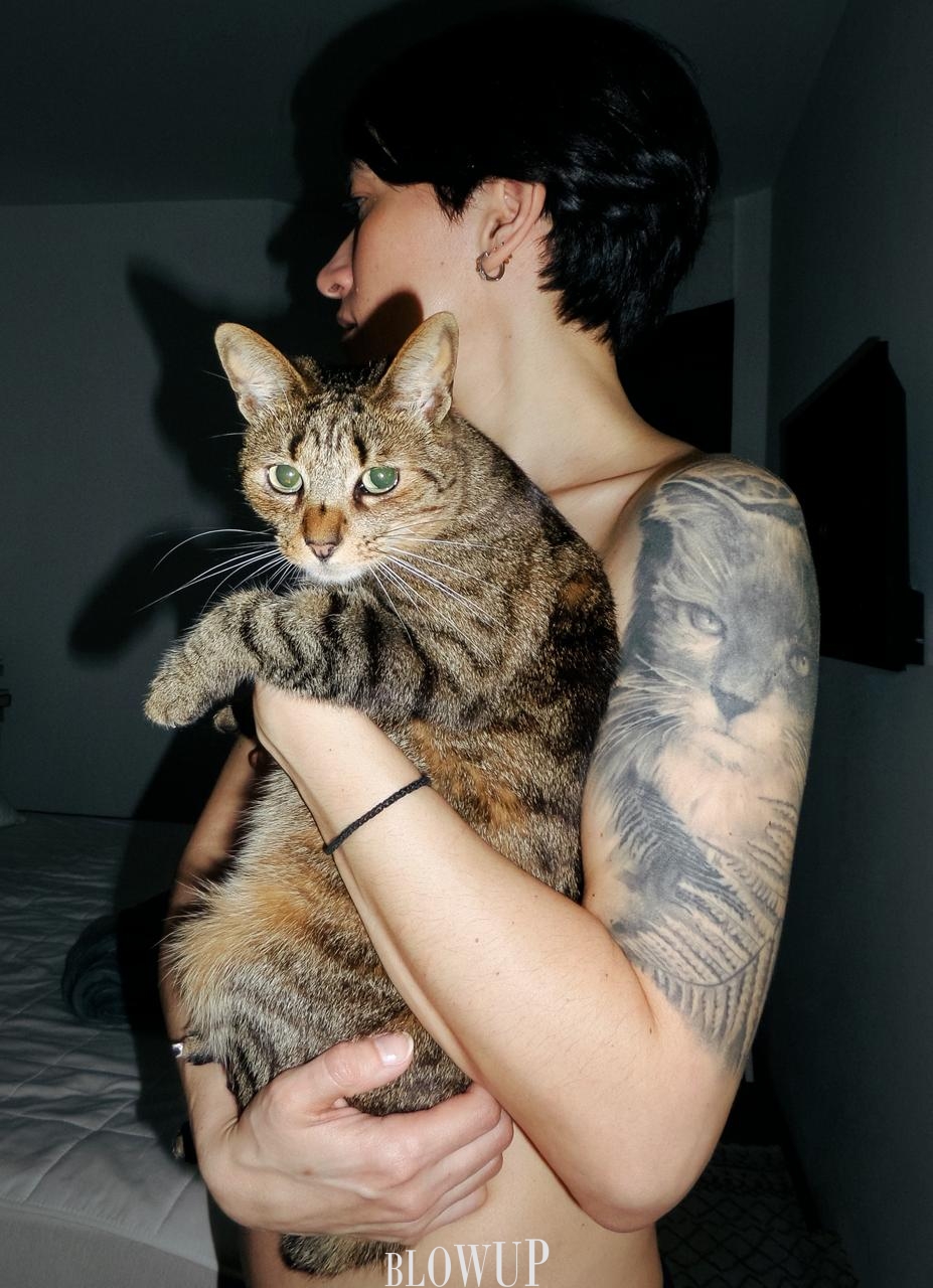With cat