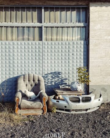 A king of the street on his throne
