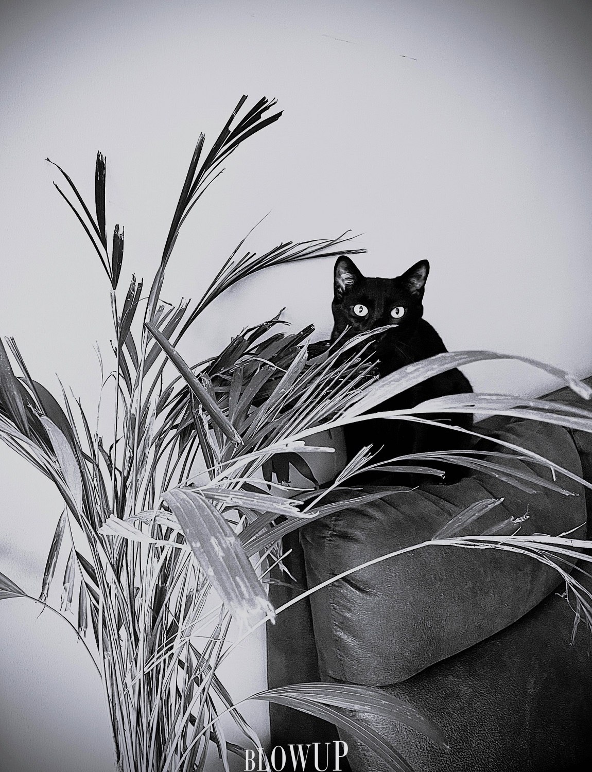 Hunting mode on