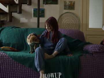puppies