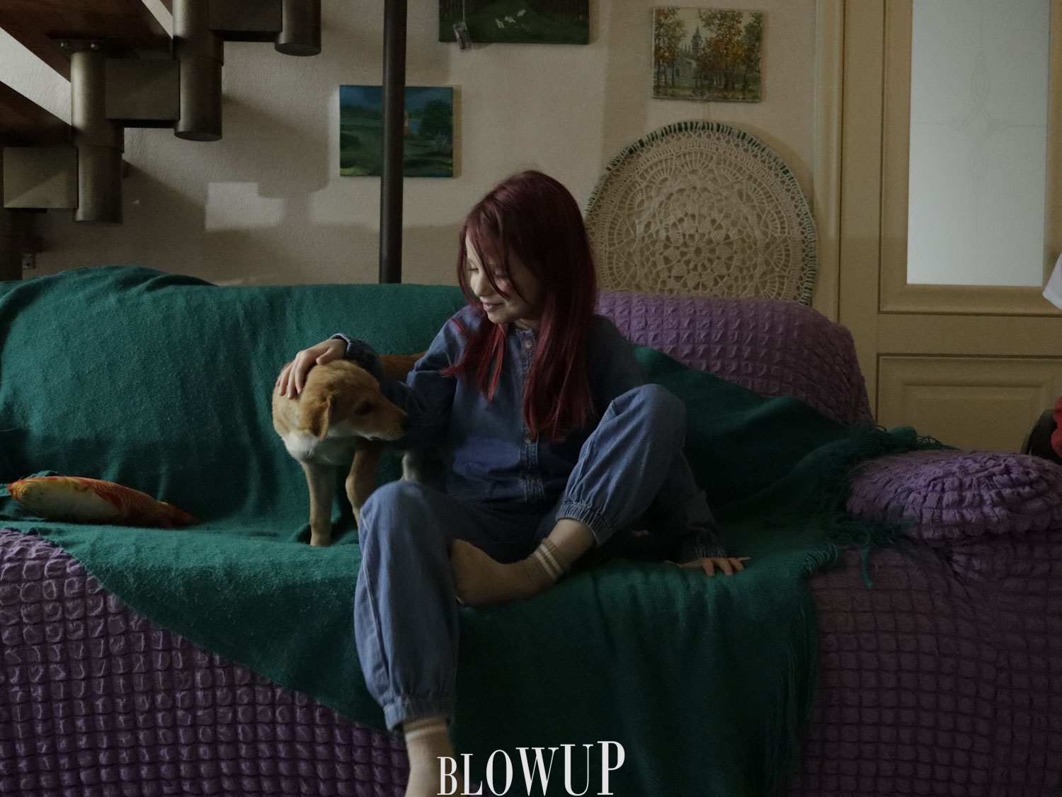puppies