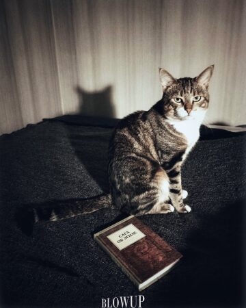 Book review