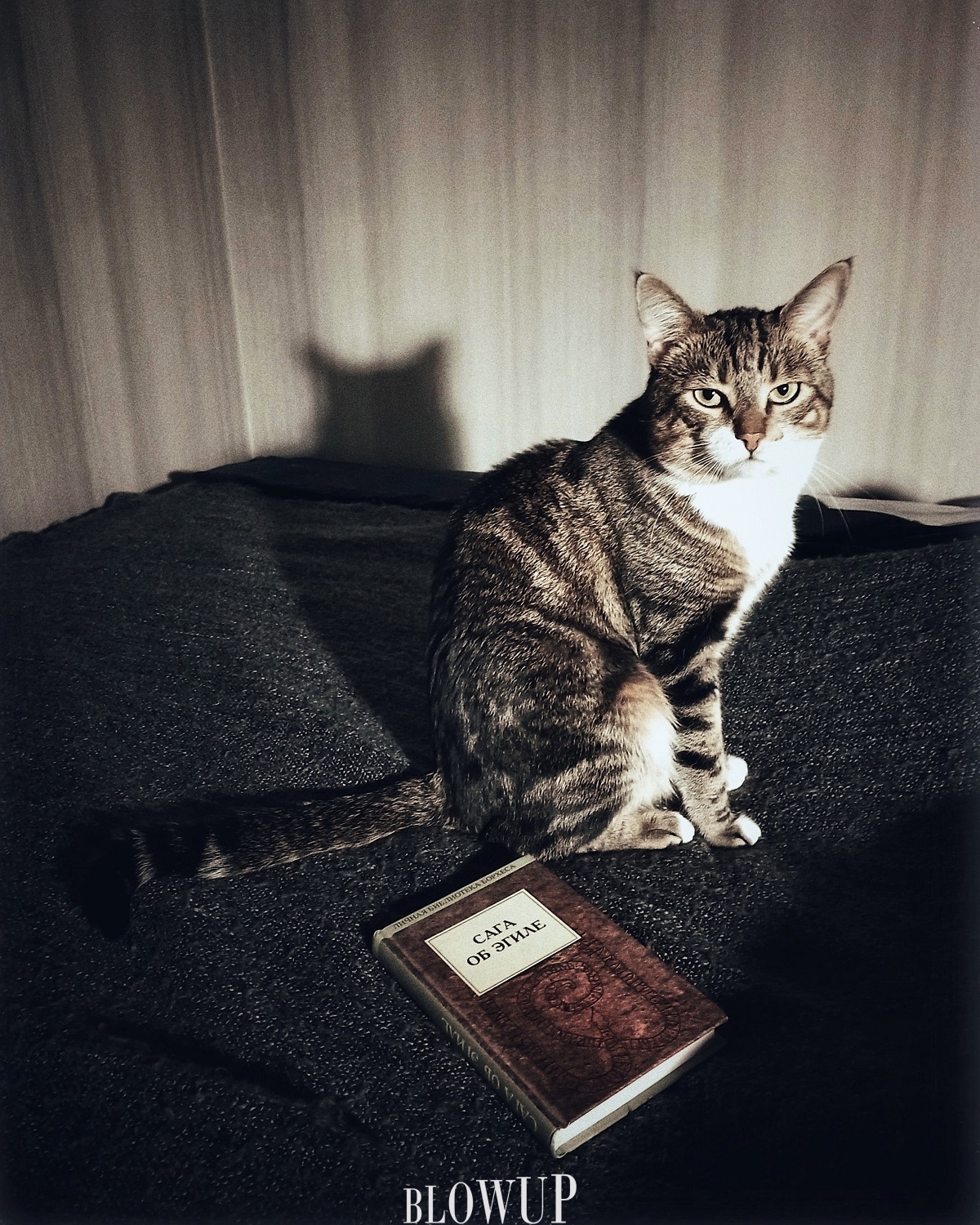Book review