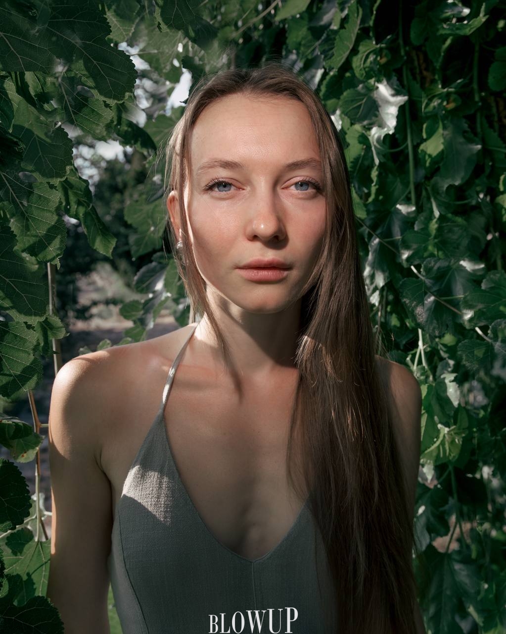 Lera