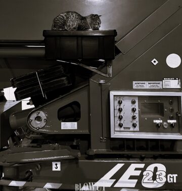 Main element of the mechanism