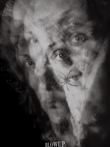 spider’s web