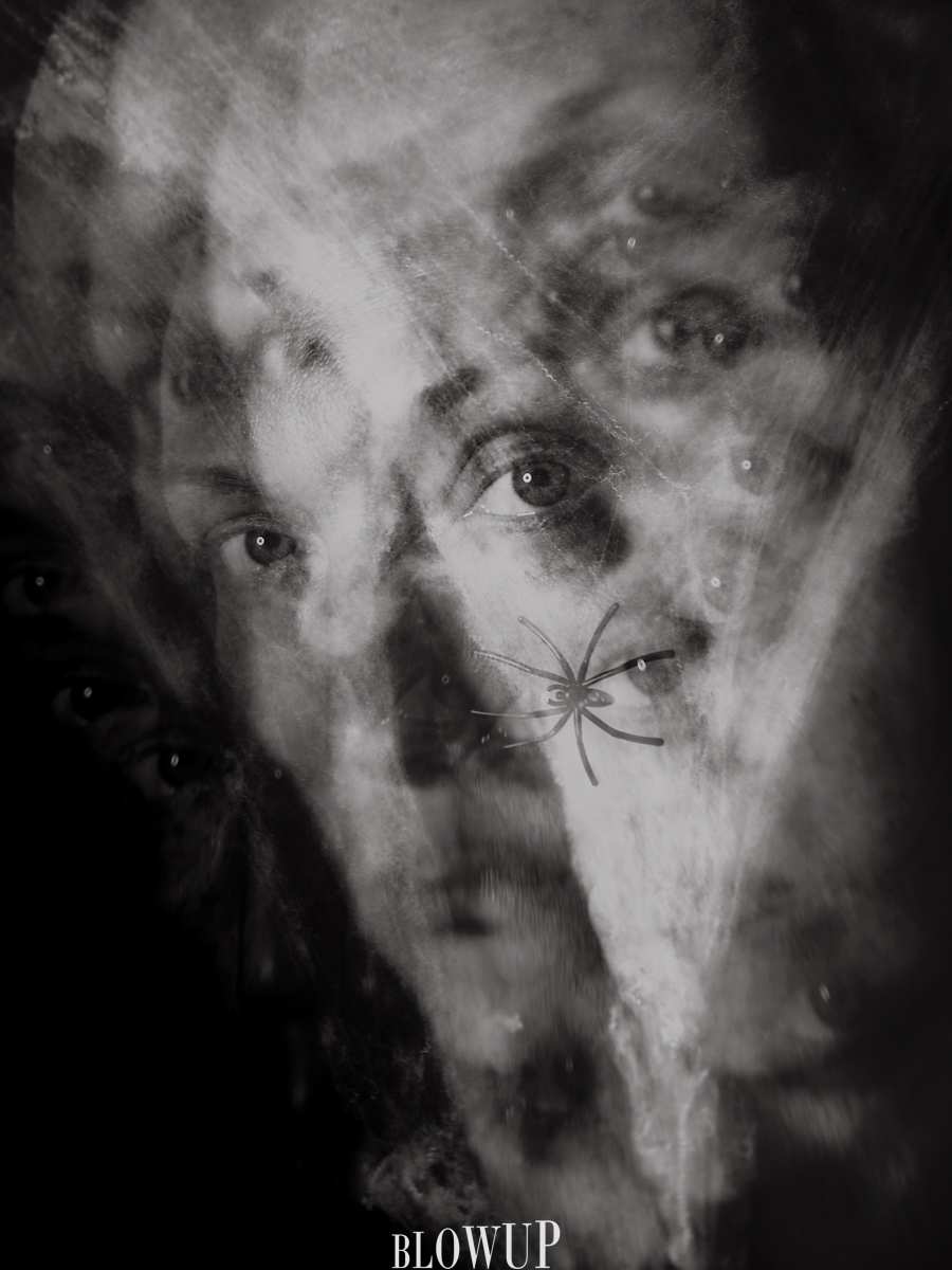 spider’s web