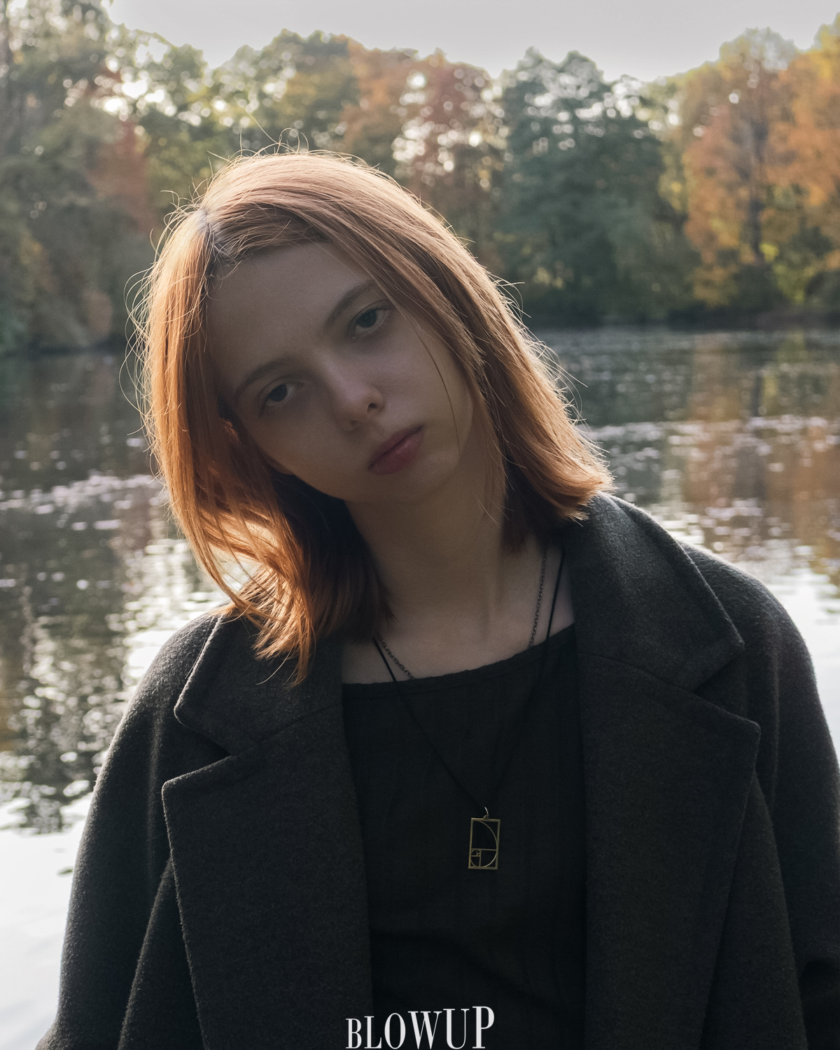 autumn sun