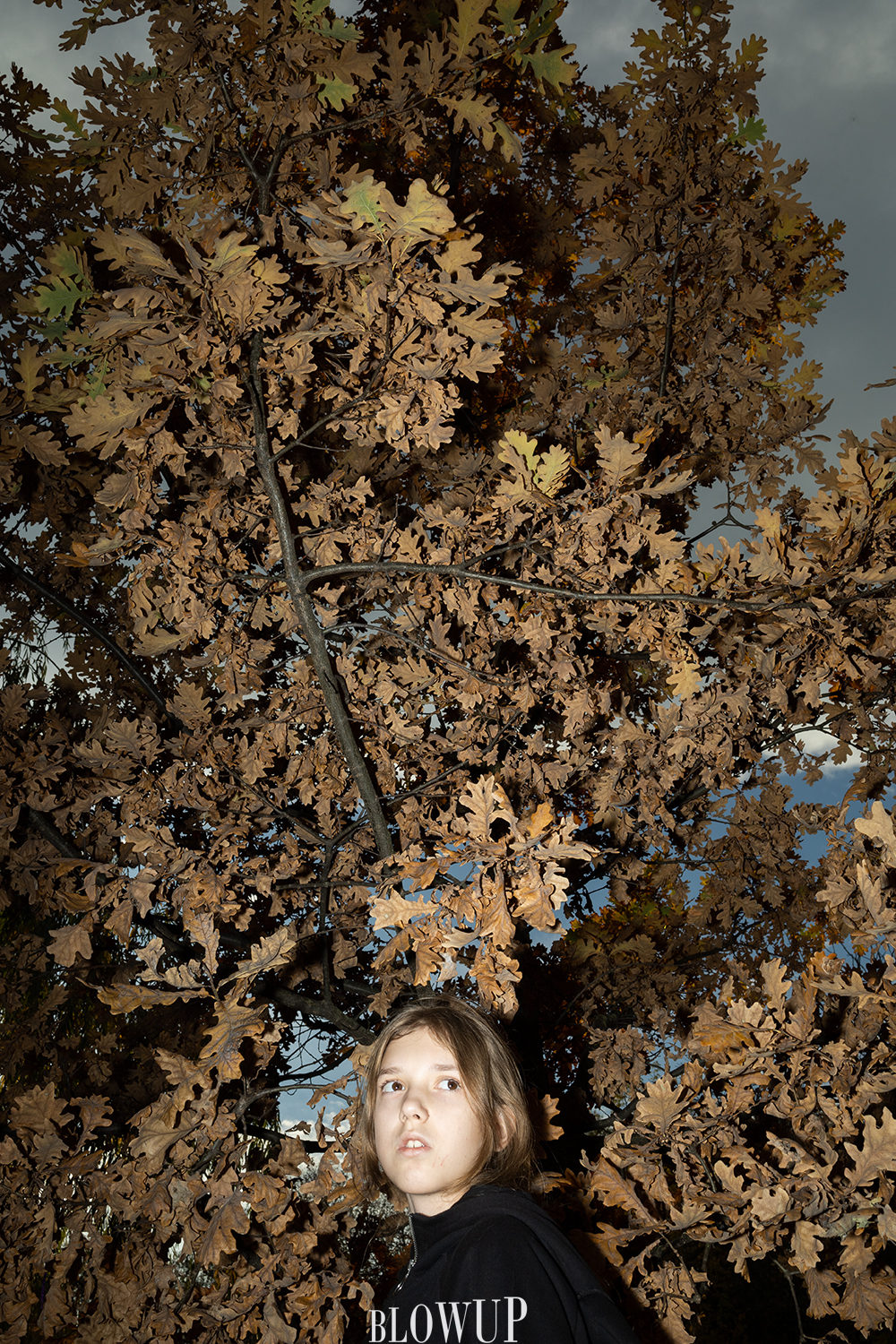 in autumn
